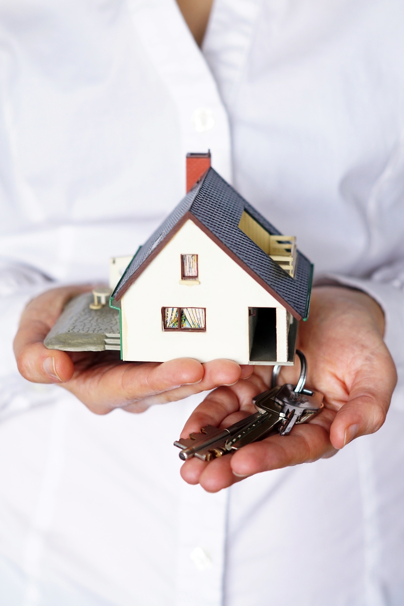 investissement immobilier lyon
